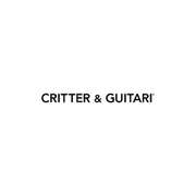 Critter & Guitari ONDA
